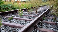 Zugewachsenes Eisenbahngleis einer stillgelegten Bahntrasse. Symbolbild