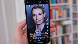 Hand hält ein Mobiltelefon auf dessen Display die Seite der AFD Politikerin Alice Weidel auf Plattform TikTok zu sehen ist.