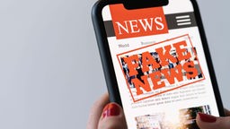 Fake-News-Meldung auf Handy-Display.