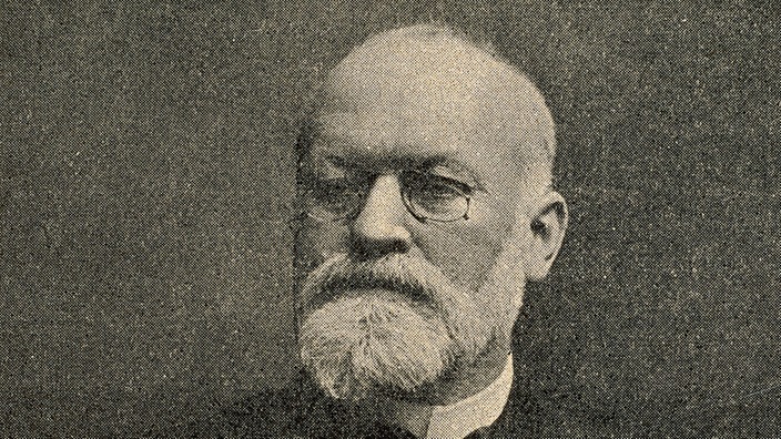 Alphonse Laveran, Porträt