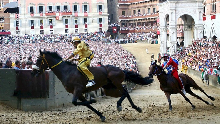 Palio-Rennen in Siena