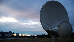 Allen Telescope Array in Kalifornien