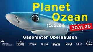 Logo Gasometer-Ausstellung Planet Ozean