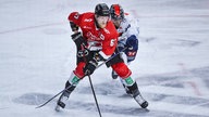 Stanislav Dietz wechselt von den Kölner Haien zu den Iserlohn Roosters