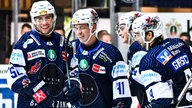 Shane Gersich, Zach Osburn, Sven Ziegler und Jake Virtanen bejubeln ein Tor im Test gegen den EC Bad Nauheim.