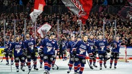 Das Team der Kölner Haie bejubeln den Sieg mit ihren Fans