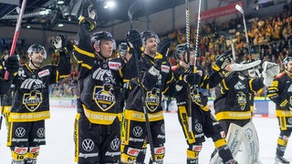 Die Spieler der Krefeld Pinguine