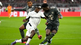 Leverkusens Jeremie Frimpoing (Mitte) gegen Serge Gnabry (l.) und Alphonso Davies