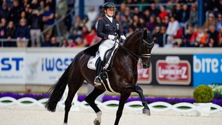 Dressurreiterin Isabell Werth auf dem Pferd Wendy de Fontaine in Aktion