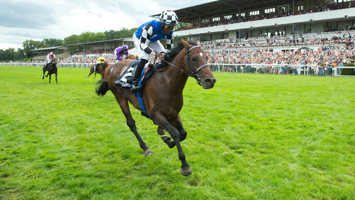 Protectionist mit Jockey Eddie Pedroza in Berlin-Hoppegarten