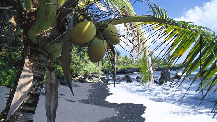 Insel Maui, gehört zum US-Bundesstaat Hawaii