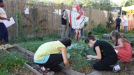 Kinder arbeiten im Garten