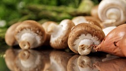 Champignons 