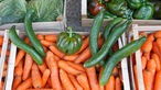 Das Bild zeigt krummes Salatgurken auf Karotten und Paprika.