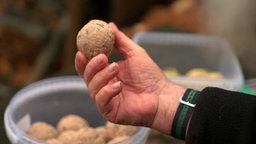 Eine Person hält eine Kugel Vogelfutter in der Hand.