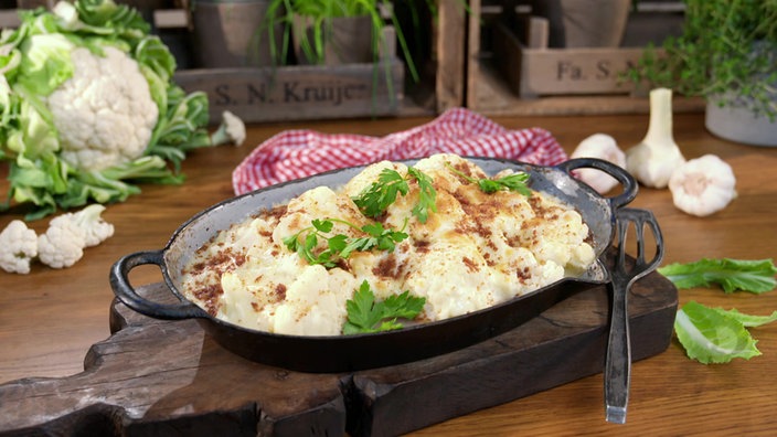 Das Bild zeigt das fertige Gericht "Blumenkohl-Gratin" angerichtet auf einem Teller.