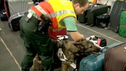 Artenschutzspürhund Flughafen