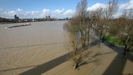 Der Rhein hat in der Nähe der Rodenkirchener Brücke in Köln Teile eines Campingplatzes überflutet, 2007